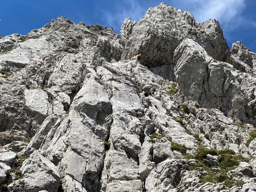 Mt. Pilatus & Lake Lucerne Small Group Tour | From Lucerne - The dragon aerial cable car: 360 views in a glass cabin