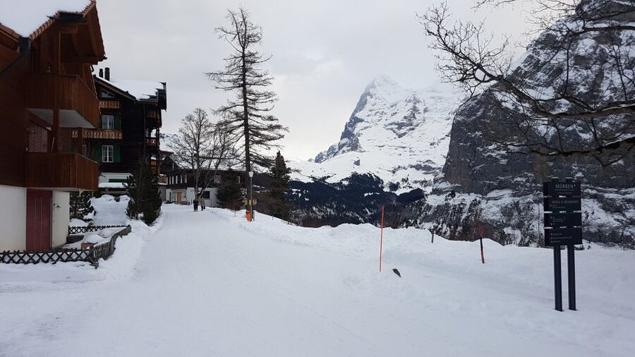 Mt. Schilthorn & Mürren Private Day Trip from Zürich - Price and value: what you are paying for at $770 per person