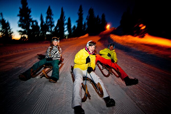Night Sledding from Interlaken - The sled lesson: fun speed, with real technique