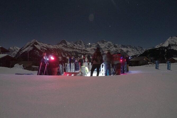 Night Sledding from Interlaken - The one-hour descent through meadows and forests