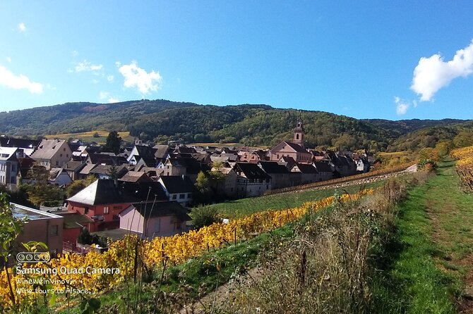Pinot Noir & Pinot Wine Tour to Baden-Württemberg - Ihringen lunch break: how to handle the one missing piece