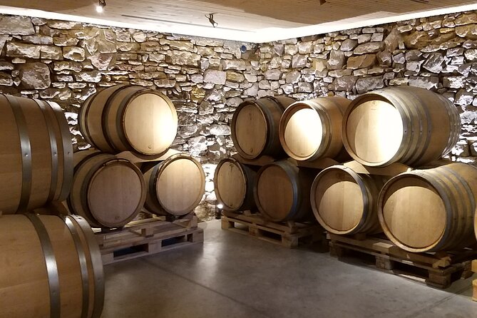 Pinot Noir & Pinot Wine Tour to Baden-Württemberg - Logistics that matter: pickup, pace, shoes, and rules