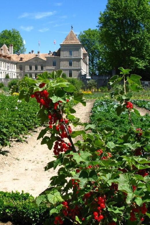 Prangins, Lake Geneva: Château de Prangins Entry Ticket - Swiss National Museum exhibitions on Swiss history, identity, and culture