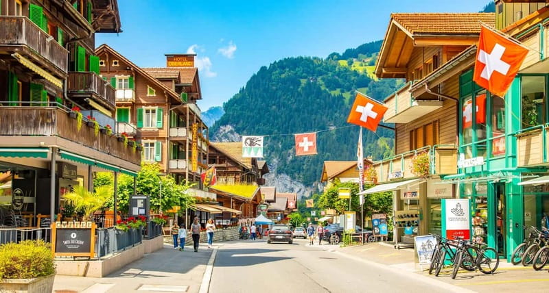 Private all day driver: Interlaken>Lauterbrunnen,Grindelwald - Your driver: comfort first, plus the quality variable you should expect