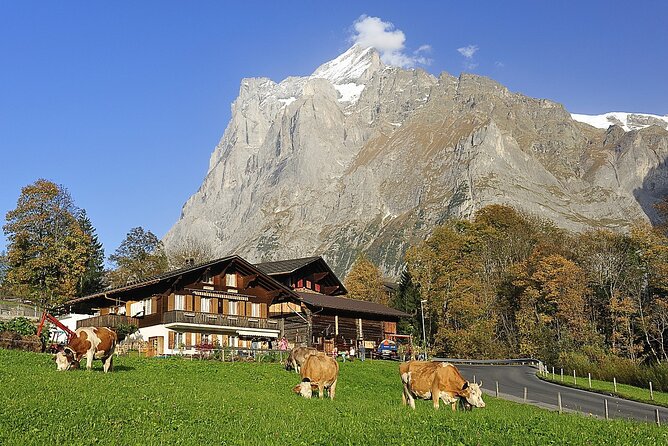 Private day trip from Zurich to Grindelwald, Interlaken and back - Interlaken between two lakes: easy strolling and a scenic reset