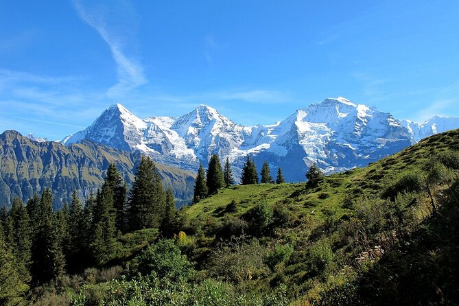 Private day trip from Zurich to Grindelwald, Interlaken and back - The driver is the secret sauce, and you should ask what matters to you