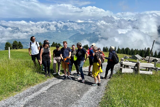 Private Guided Hike on Mt. Rigi with Farm Visit and BBQ - Farm visit and roaming cows: the calm, personal counterpoint to the mountain