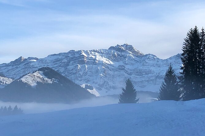Private Guided Swiss Alps Day Trip from Zurich with Hotel Pick-Up - Best for Families, Food Lovers, and First-Time Swiss Viewers
