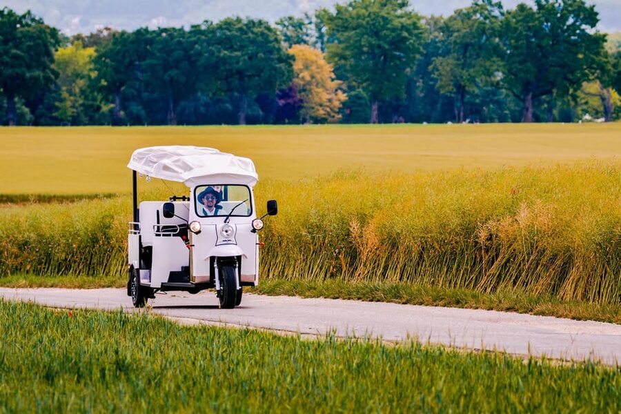 Private Highlights Top Places Tour Electric TukTuk 1h15 - How to think about the $101 per person price