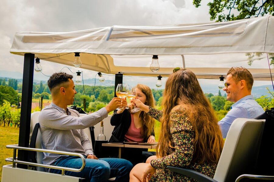Private Highlights Top Places Tour Electric TukTuk 1h15 - Pickup and pace: what the private setup changes