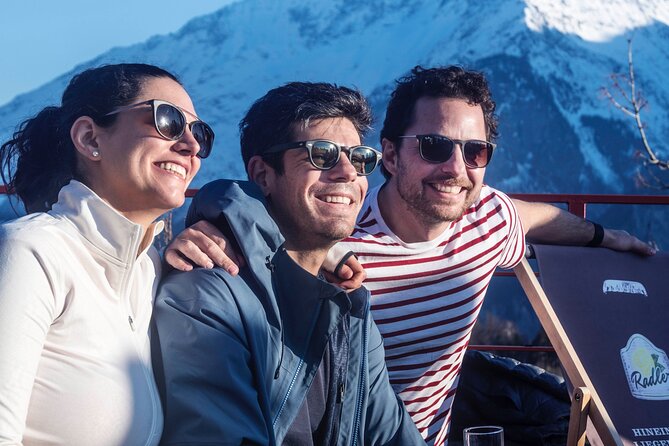 Private Ski Instructor from Lucerne including Transport - English instruction and private-group comfort