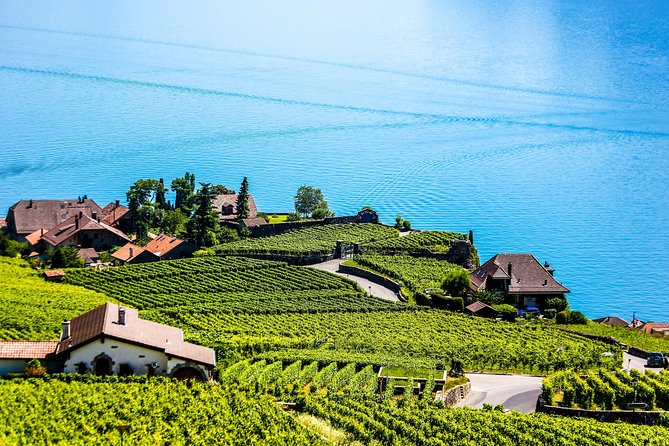 Private Tour to Gruyères, Chocolate & Cheese Factory from Geneva - Private guide and driver quality: why the experience feels smooth