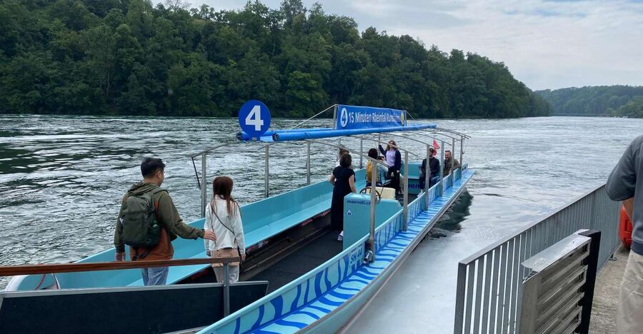 Private Tour to the Rhine Falls with Pick-up at the Hotel - A half day that hits the Rhine Falls from multiple angles