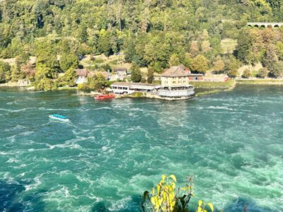 Private Tour to the Rhine Falls with Pick-up at the Hotel