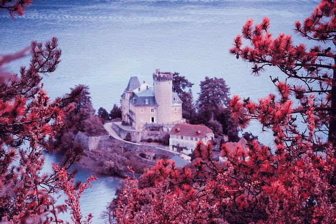 Private Trip from Geneva to Annecy in France - Driver-Guide Services: Flexible Timing and Real-Time Help