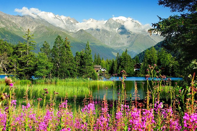 Private Trip from Geneva to Swiss Riviera Montreux & Chamonix - Door-to-Door Geneva Pickup and Private Ride Comfort