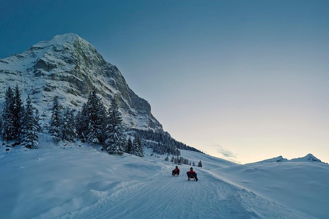 Private trip from Zurich to Jungfraujoch (The Top of Europe) - Key highlights you will feel right away