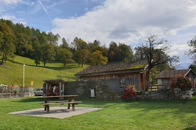 Private Trip from Zurich to Vaduz in Liechtenstein & Swiss Heidiland - Private transport from Zurich: what you gain, and what can feel limiting