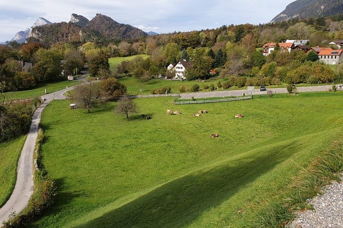 Private Trip from Zurich to Vaduz in Liechtenstein & Swiss Heidiland - Price and value: is it worth $1,824.78 for up to 3?