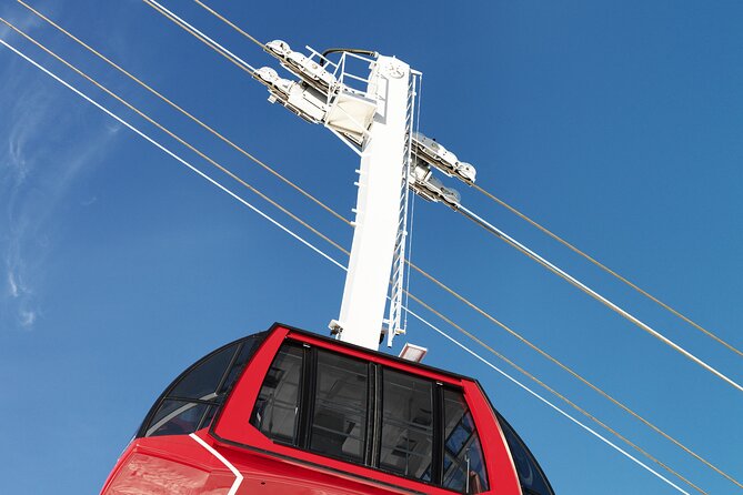 Ride the Dragon to Mount Pilatus: Small-Group Tour from Zurich - Pilatus Luzern: how to use your 3 hours up top