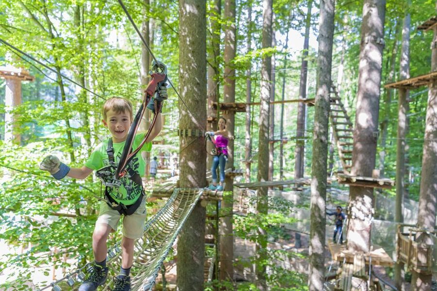 Rope Park Interlaken: Climbing Adventure with Entry Ticket - Key Highlights You Should Know Before You Go