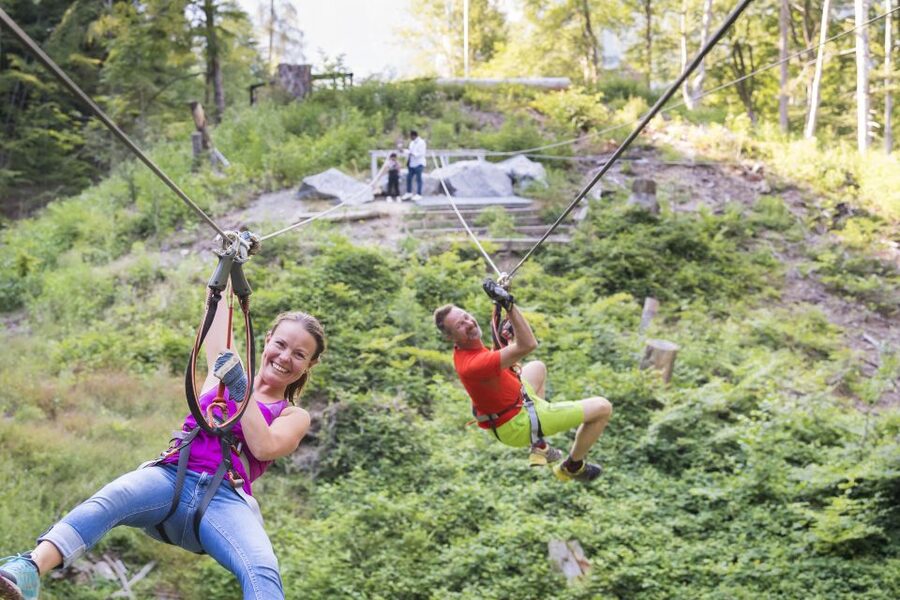 Rope Park Interlaken: Climbing Adventure with Entry Ticket - Rope Park Interlaken: What This Forest Adventure Really Feels Like