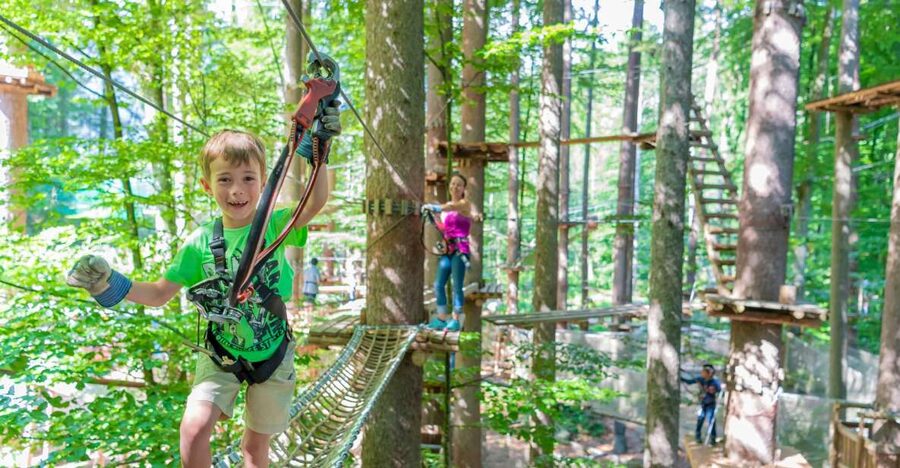 Rope Park Interlaken: Climbing Adventure with Entry Ticket - The Start: Gear Up, Safety Briefing, Then Into the Trees