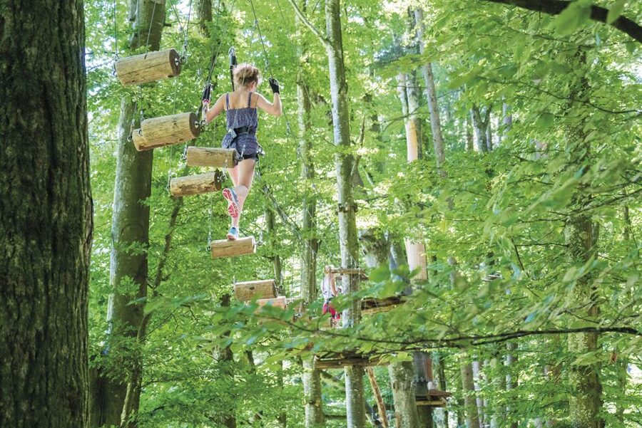 Rope Park Interlaken: Climbing Adventure with Entry Ticket - Tarzan Swings and Wooden Bridges: The Parts That Feel Like Play