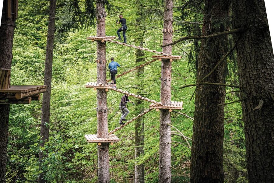 Rope Park Interlaken: Climbing Adventure with Entry Ticket - Time Plan: How Many Courses You Can Actually Do in 2.5 to 3 Hours