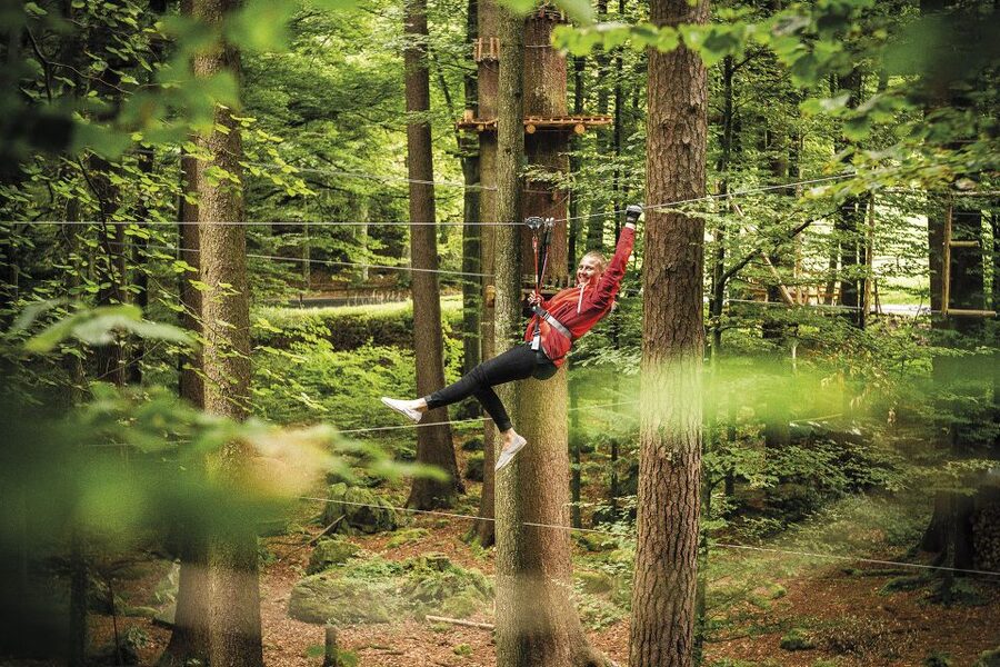 Rope Park Interlaken: Climbing Adventure with Entry Ticket - Snowli Courses for Little Kids: How Younger Families Join In