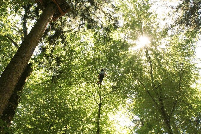 Ropes Park Interlaken - Key things to know before you climb