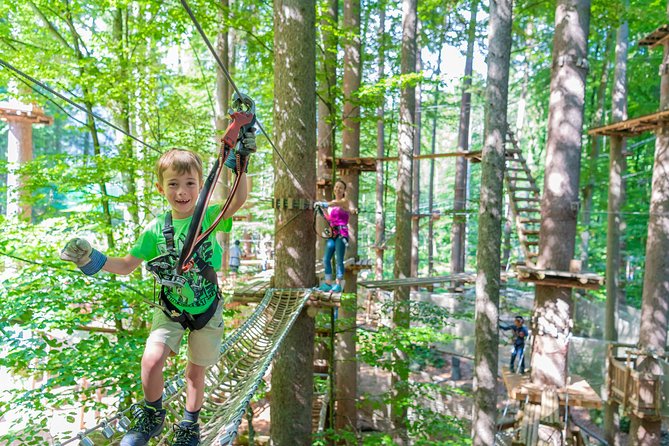 Ropes Park Interlaken - Safety and coaching: harnesses, helmets, and staff guidance