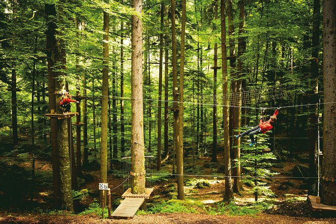 Ropes Park Interlaken - Getting the height rules right: 110 cm to 140 cm and beyond