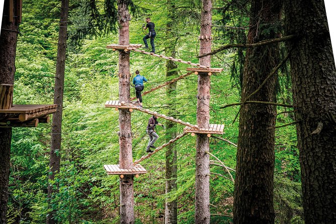 Ropes Park Interlaken - The heart of the day: how the courses feel from course to course