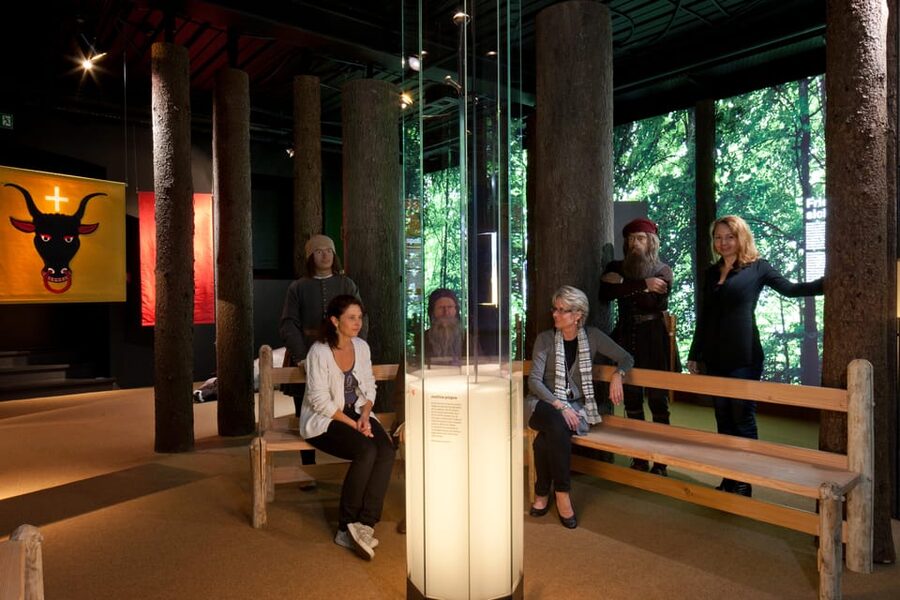 Schwyz: Museum-Ticket Forum of Swiss History Schwyz - Key things to look for at the Forum of Swiss History Schwyz