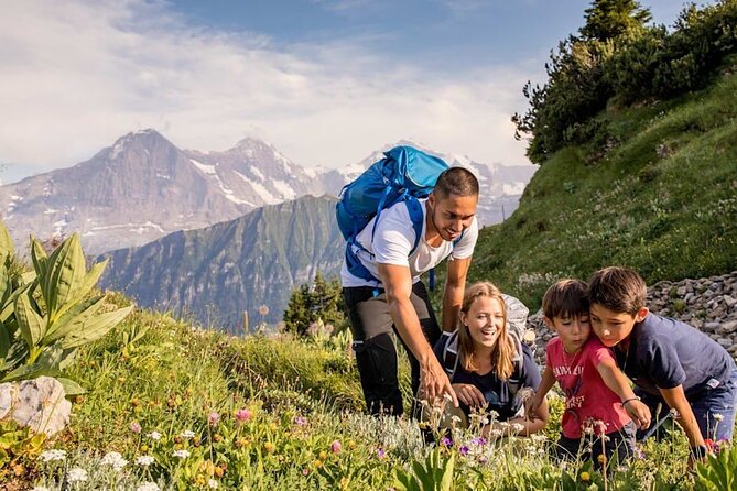 Schynige Platte Cogwheel Railway Return Ticket - The nostalgia train ride: historic carriages, slow views, no pressure