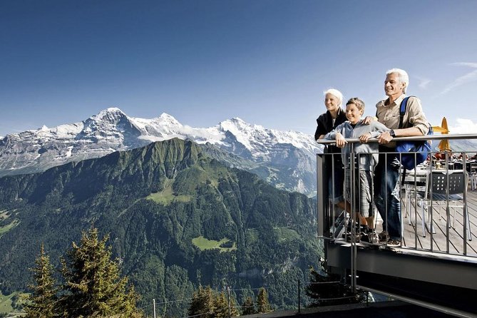 Schynige Platte Cogwheel Railway Return Ticket - Hiking at the top: short routes, frequent panorama pauses, and what to expect