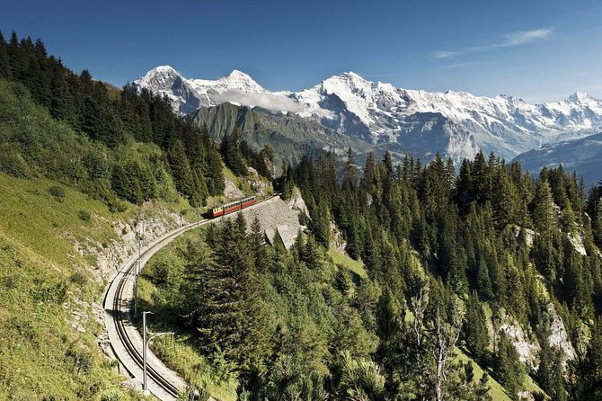 Schynige Platte Cogwheel Railway Return Ticket - Where to eat and drink on Schynige Platte without ruining the view