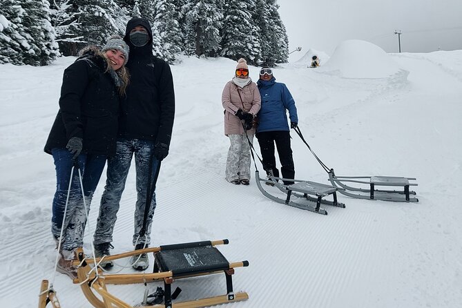 Sledding Cheese Fondue, Chocolate - Männlichen to Holenstein: why this sled route is the main event
