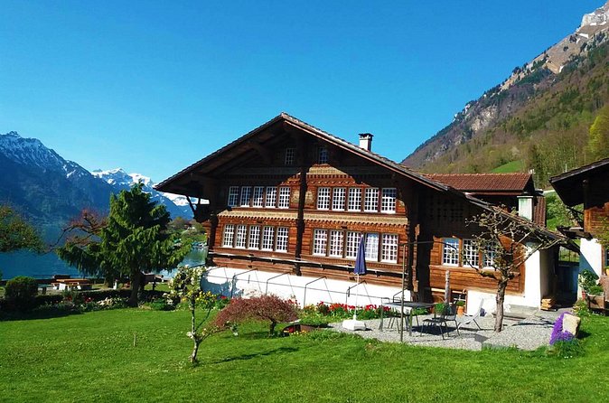 Small group tour to Interlaken with driver guide - Quick Zurich orientation before you go