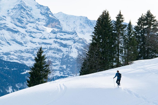 Snowshoe Adventure in the Swiss Alps - Quick reasons to book this Interlaken snowshoe tour
