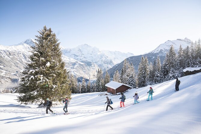 Snowshoe Adventure in the Swiss Alps - Why this Interlaken snowshoe tour feels like Swiss winter without the crowds