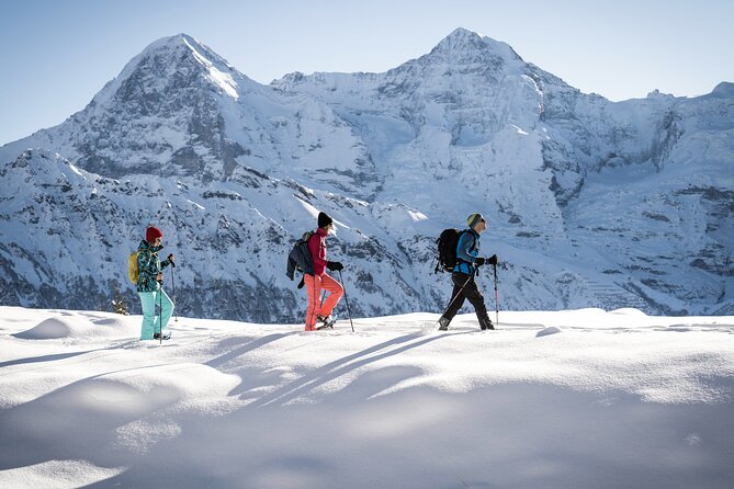 Snowshoe Adventure in the Swiss Alps - The route: snowy forests, alpine meadows, and Swiss hamlets plus big peak views