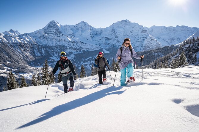 Snowshoe Adventure in the Swiss Alps - Transport and timing: about 4 hours total, with 1.5 to 2 hours on snowshoes