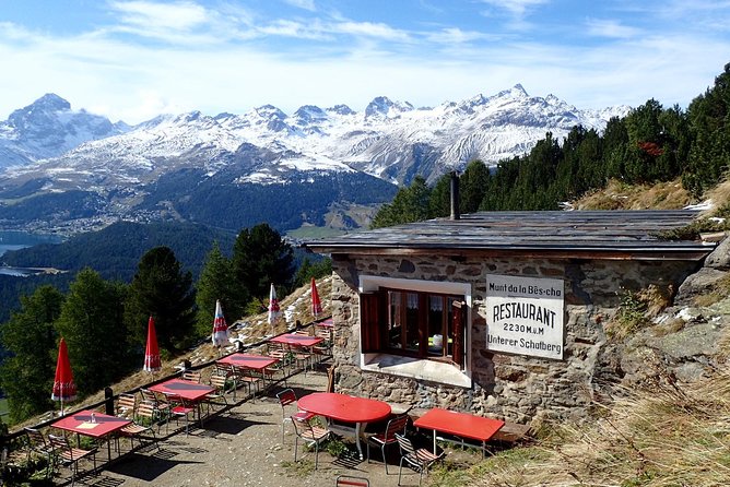 St Moritz Private Guided Panorama Hike - Why this St Moritz panorama hike feels different