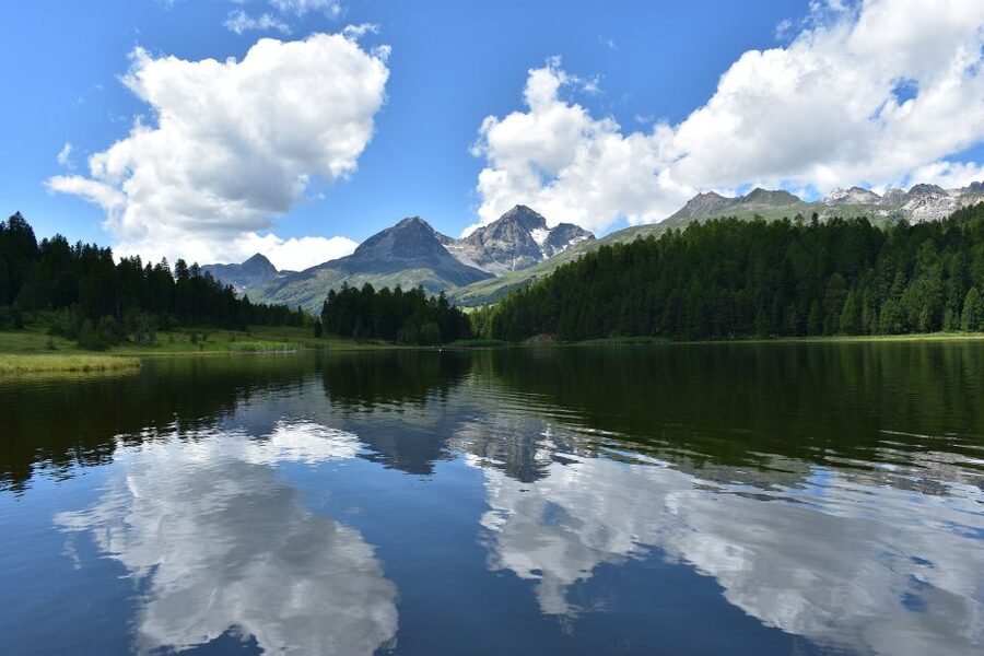 St. Moritz: Private Guided Town Highlights Walking Tour - What makes it private, and how to get more value from the time