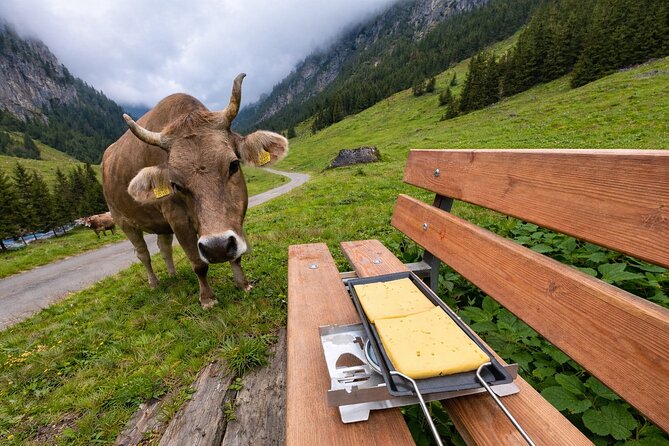 Swiss Alps and Waterfalls Private Tour from Zurich - Stop 3: Klausenpass, High-Alpine Road Views Plus Cheese Tasting
