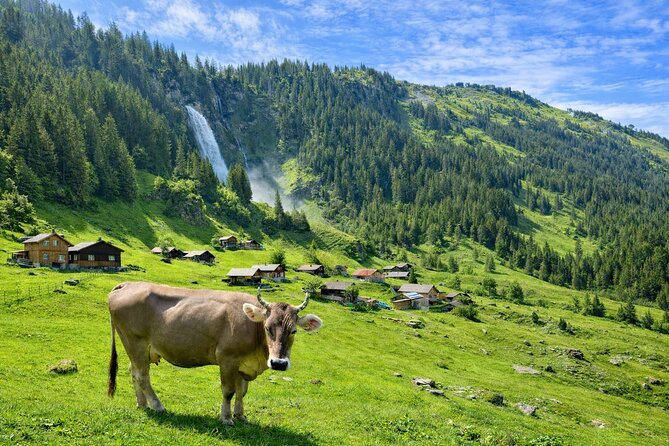 Swiss Alps and Waterfalls Private Tour from Zurich - Stop 5: Berglistuber Wasserfall, 45 Meters of Water and a Viewpoint Walk