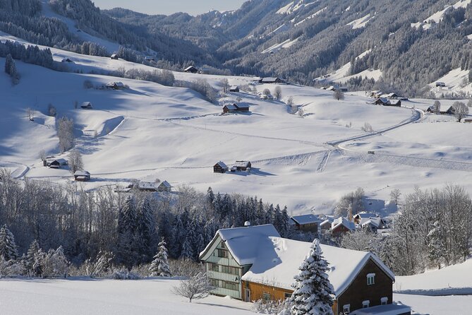 Swiss Alps and Waterfalls Private Tour from Zurich - Price and What $885.67 Really Buys You