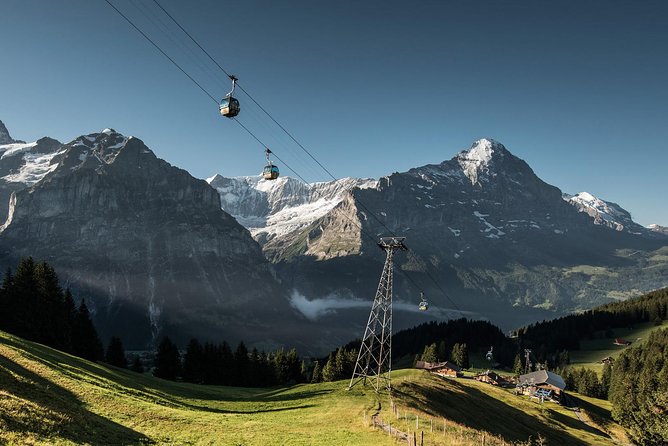 Swiss Alps: Interlaken and Grindelwald Day Trip from Zurich - Guide quality and what you should expect from Kid and Hans